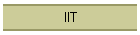 IIT